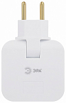 Разветвитель Эра  SPF-2-FL-USB 250_100_2873441