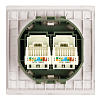 Розетка двойная Ethernet RJ-45 без рамки Stekker Мия 50481 100_100_3085824
