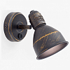 Бра Citilux Опус CL502512 100_100_1669877