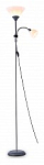 Торшер с подсветкой Ambrella Light TR TR97626 250_100_Array