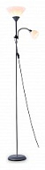 Торшер с подсветкой Ambrella Light TR TR97626 500_191_2288008
