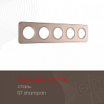 Рамка на 5 постов Arte Milano am-502.07 502.07-5.shampan 250_100_2168194