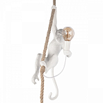 Подвесной светильник Loft it Monkey 10314P 250_100_Array
