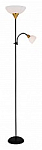 Торшер с подсветкой Arte Lamp Duetto A9569PN-2BK 250_100_Array