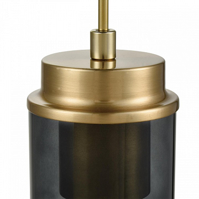 Подвесной светильник Lumion Isha 8101/1A 400_400_1865088
