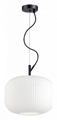 Подвесной светильник Odeon Light Roofi 4754/1 400_400_1724811