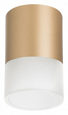 Накладной светильник Lightstar Rullo R349081 400_400_2448346