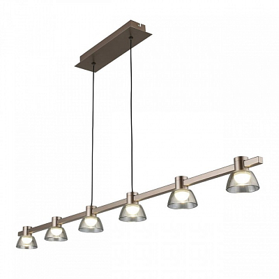 Подвесной светильник Aployt Rezeda APL.788.03.06 400_400_1962412