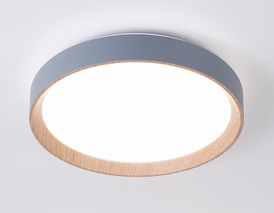 Накладной светильник Ambrella Light FZ FZ1320 400_400_2021282