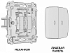 Выключатель двухклавишный с подсветкой без рамки Ambrella Volt OMEGA MO104015 100_100_2192630