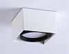 Накладной светильник Ambrella Light TN TN70865 100_100_2024398