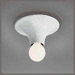Накладной светильник Artemide  A048120 250_100_3103474