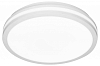 Накладной светильник Citilux LUNS CL711020V 100_100_2444684