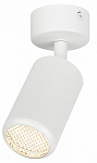 Спот Эра  OL55 WH 250_100_1952688