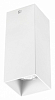 Накладной светильник Lightstar Rullo 216386 100_100_2448314