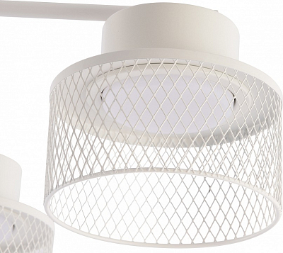 Люстра на штанге Rivoli Mona 9194-306 400_400_2858315