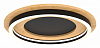 Накладной светильник Lightstar Lodi 723017 100_100_3155645