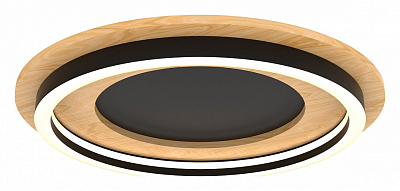 Накладной светильник Lightstar Lodi 723017 400_400_3155645
