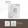 Розетка Ethernet RJ-45 без рамки Arte Milano am-206 206.45-1.silver 100_100_2167487