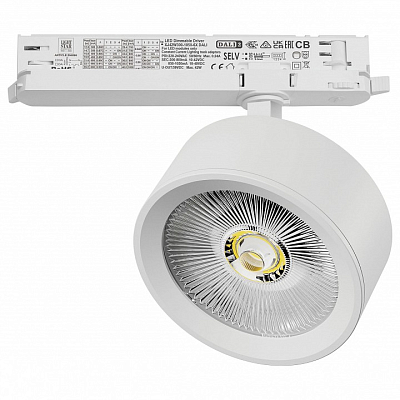 Светильник на штанге Lightstar Alta Pro A5646DALI 400_400_3238923