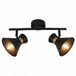 Спот Arte Lamp Baltimore A1406AP-2BK 250_100_Array