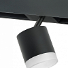 Светильник на штанге Lightstar Rullo PRO348780 100_100_1717896