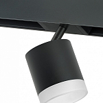 Светильник на штанге Lightstar Rullo PRO348780 250_100_1717896