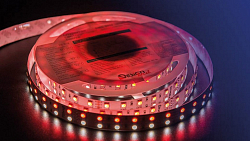 Лента светодиодная DesignLed DSG5120 00-00001205 250_100_3101101
