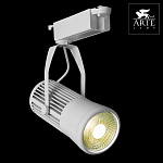 Светильник на штанге Arte Lamp Track Lights A6330PL-1WH 250_100_1822085