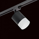 Светильник на штанге Lightstar Rullo R1T348781 250_100_1717980