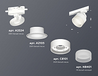 Светильник на штанге Ambrella Light XT XT8101020 250_100_2013080