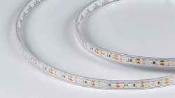 Лента светодиодная DesignLed DSG3120 00-00003352 250_100_3101270