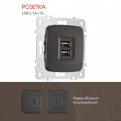 Розетка USB, без рамки Arte Milano am-205 205.46-1.black 400_400_2167127