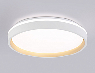 Накладной светильник Ambrella Light FZ FZ607 250_100_2181233