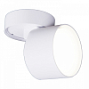 Спот Reluce Technical 53009 53009-9.5-001CT GX53 WT 100_100_2046235