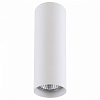 Накладной светильник Lightstar Rullo 214496 100_100_2448308