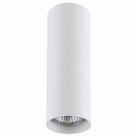 Накладной светильник Lightstar Rullo 214496 250_100_Array