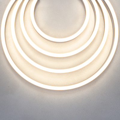 Гибкий неон Led Strip 200471 400_400_812519