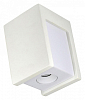 Накладной светильник Loft it Architect OL1073-WW 100_100_2448593