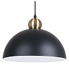 Подвесной светильник Arte Lamp Recinto A7053SP-1BK 100_100_2454904