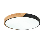SLE200942-01 Светильник потолочный Черный, Светлое дерево/Белый LED 1*45W 3000K/4000K/6000K 2700Lm ФЕСТА 250_100_2954726