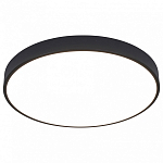 Накладной светильник Arte Lamp Arena A2672PL-1BK 250_100_Array