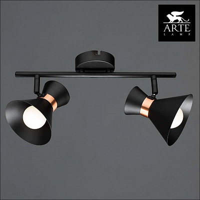 Спот Arte Lamp Baltimore A1406AP-2BK 400_400_1820988