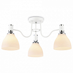 Потолочная люстра Ambrella Light TR TR303302 250_100_Array