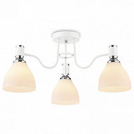 Потолочная люстра Ambrella Light TR TR303302 500_191_2431376