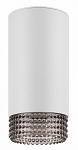 Накладной светильник Эра OL40 WH/GR Б0058478 250_100_1951474