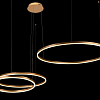 Подвесной светильник Loft it Ring 10017/3S 100_100_631389