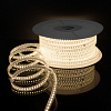 Лента светодиодная Elektrostandard LS014 220V a053637 100_100_1777023
