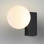 Накладной светильник Odeon Light NATURE 7124/1W 250_100_1391810