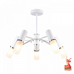 Люстра на штанге F-promo Viator 2559-5P 250_100_Array